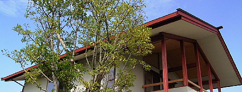 c0039501_10553620.jpg