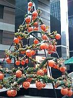 c0117106_2313054.jpg