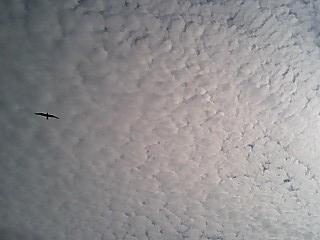 c0117106_23482229.jpg