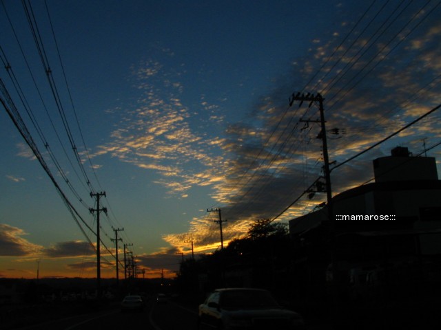 b0118511_203569.jpg