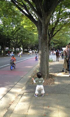 c0079312_0561811.jpg