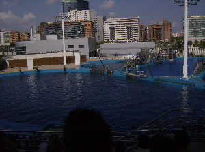 e0115312_8243555.jpg