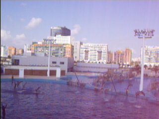 e0115312_82533.jpg