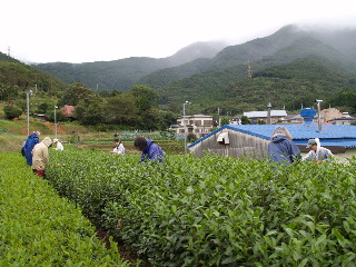 e0112213_79366.jpg