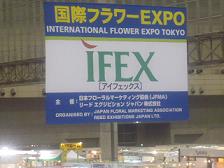 国際フラワーEXPO_c0139527_15414867.jpg