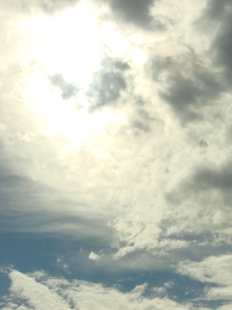 f0035927_13391878.jpg