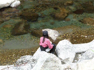 a0056140_16503032.gif