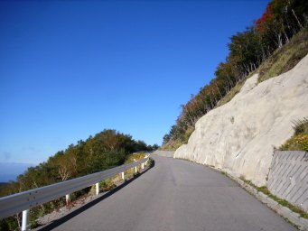 d0059441_1036243.jpg