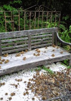 f0063944_13495534.gif