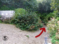 c0097856_20482946.jpg