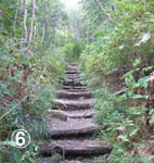 c0097856_20484366.jpg