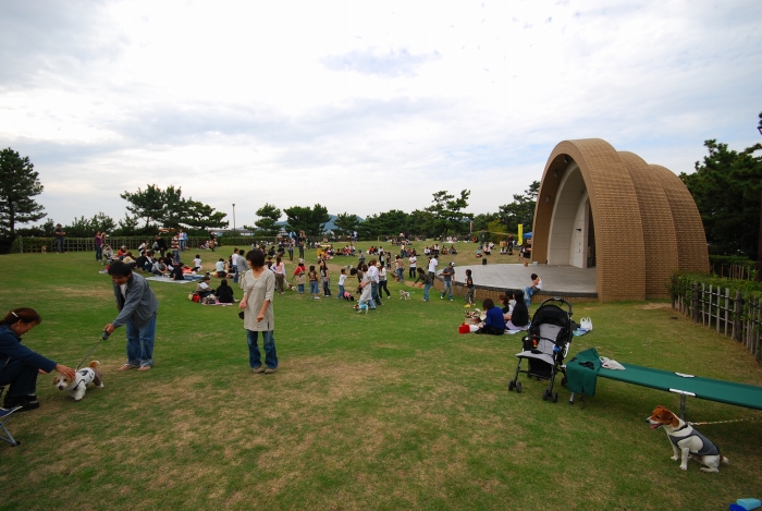 c0123759_0302624.jpg