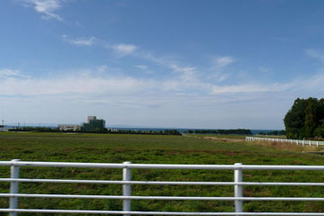a0083760_16491796.jpg