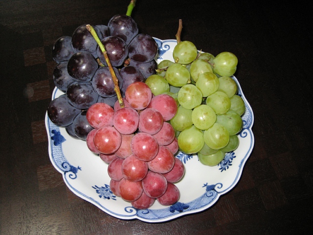 e0116960_0555961.jpg
