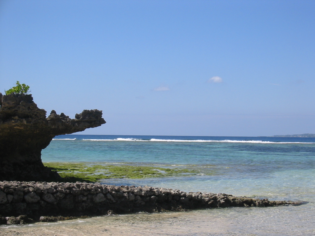 b0038570_23582254.jpg