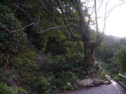 d0058870_8133034.jpg