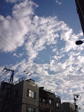 e0081772_9315097.jpg