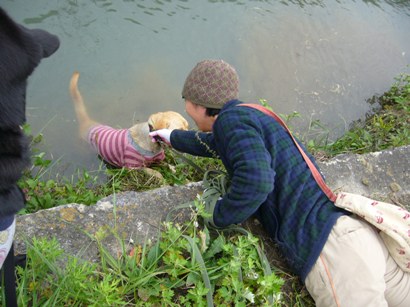 七夢 川に落ちる 滝汗 七夢とのんびり田舎暮らし