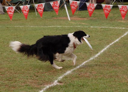 f0094391_23324464.jpg