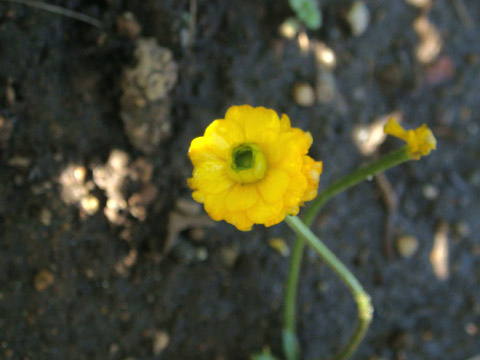 f0146493_9422443.jpg