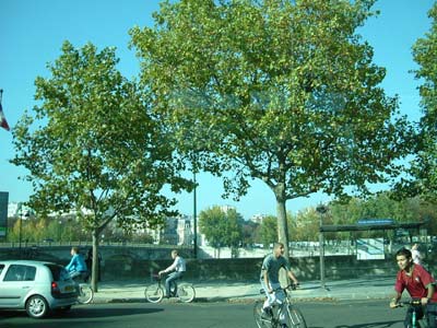 f0139994_4271037.jpg