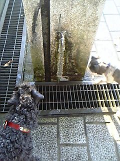 c0037701_2375138.jpg