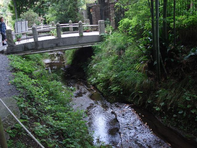 f0084806_7264316.jpg