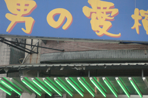 a0094711_0351151.gif