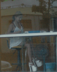 a0094711_0373010.gif