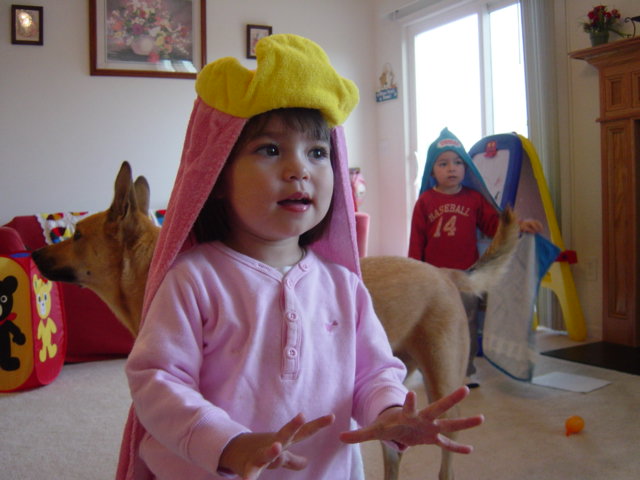 c0079011_935353.jpg