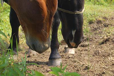 a0094015_20432168.jpg