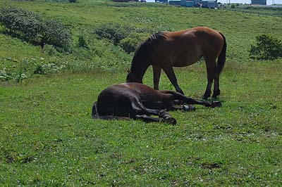 a0094015_20435853.jpg
