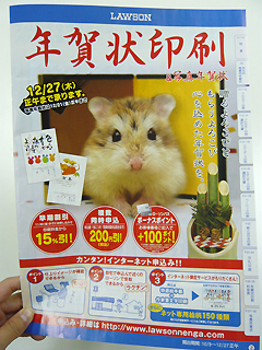 アドベンチャーワールドのサファリツアーに参加_c0053520_1751245.jpg