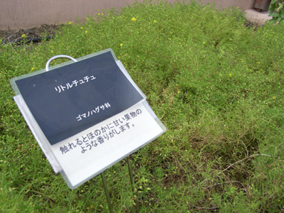 c0133721_1973872.jpg
