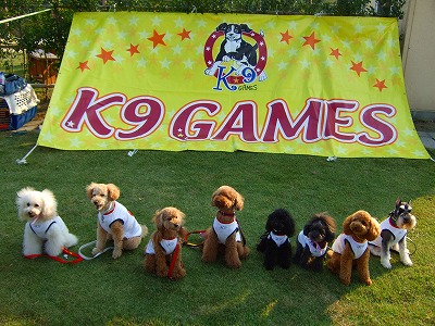 10月13日 K9ゲーム 2007秋 名犬カップ _d0023323_173011.jpg