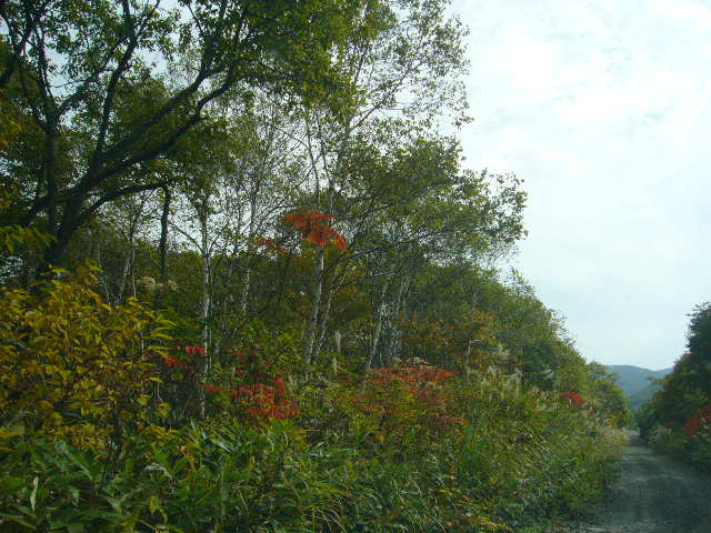 土日旅行(その１)　白馬から戸隠＆善光寺_b0115524_1232292.jpg