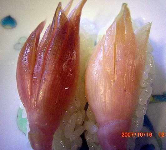 c0116730_17371392.jpg
