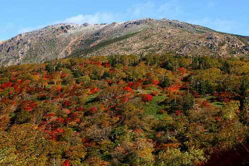 紅葉の早池峰_a0087133_6595587.jpg