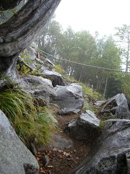 f0065941_20373449.jpg