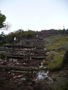 f0065941_20411092.jpg