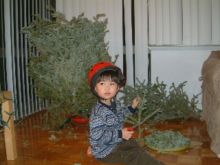 f0027244_15558.jpg