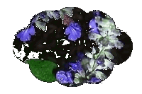 f0031546_832469.gif