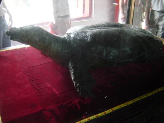 d0097148_2011724.jpg