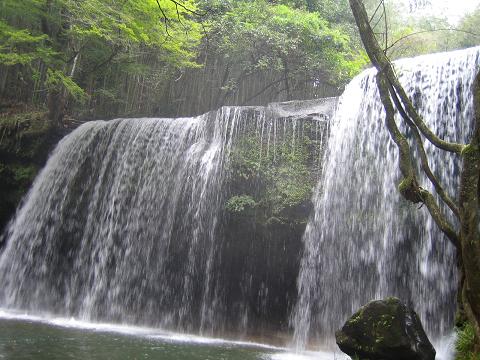 c0124359_223711.jpg