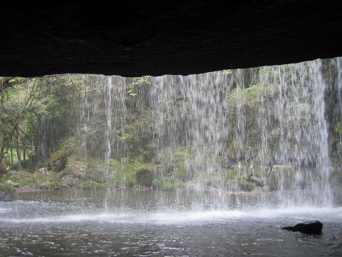 c0124359_232089.jpg