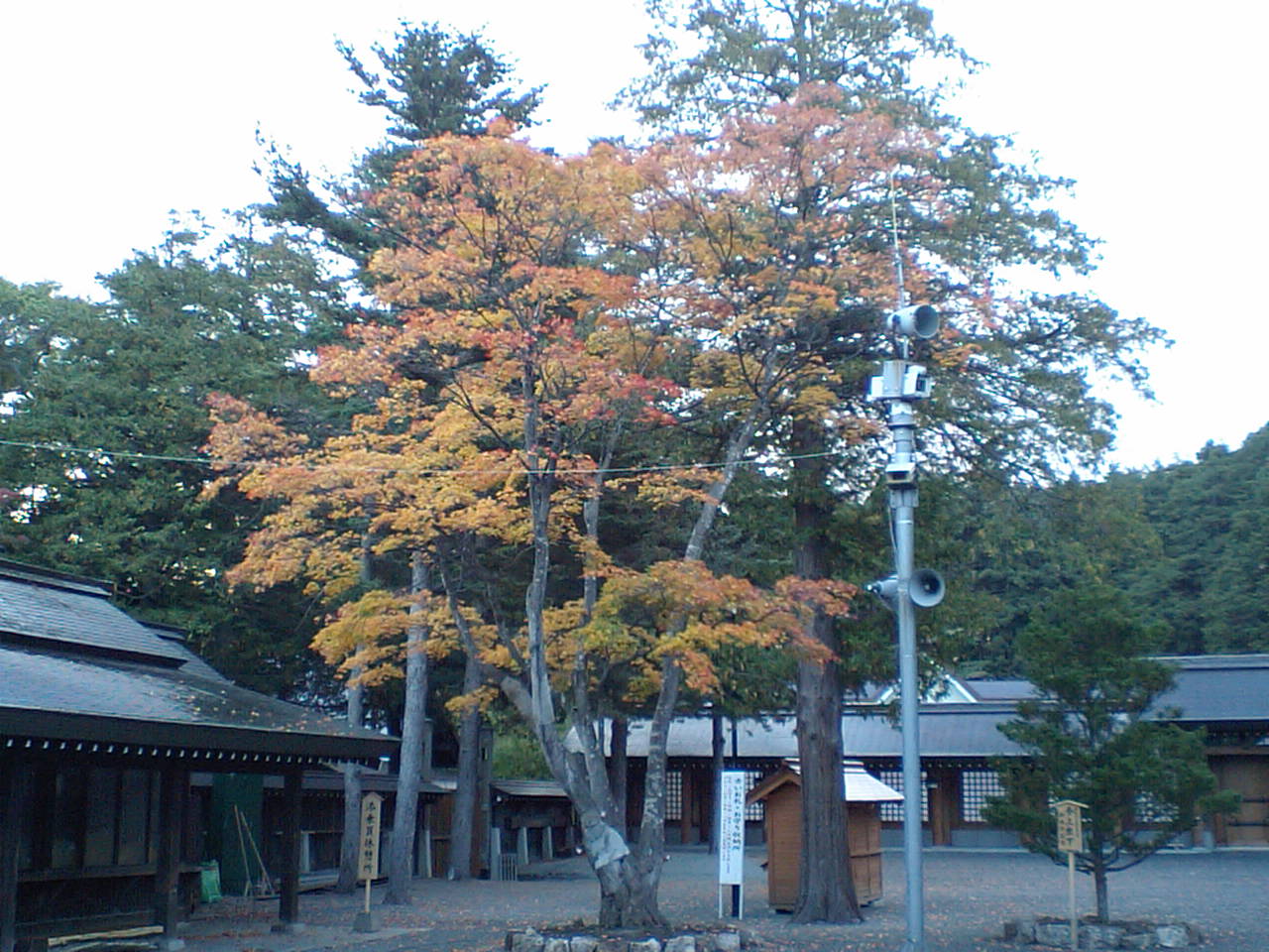 d0098665_17174732.jpg