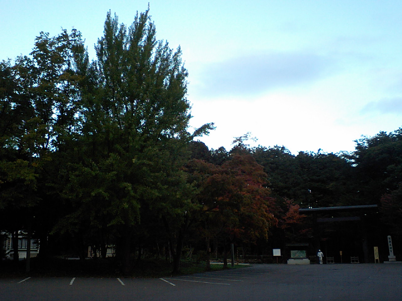 d0098665_1719024.jpg