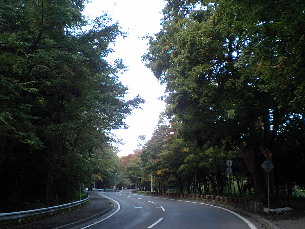 d0098665_17193142.jpg