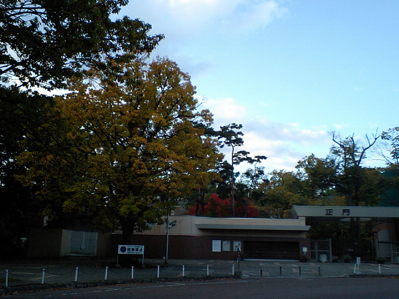 d0098665_17201790.jpg