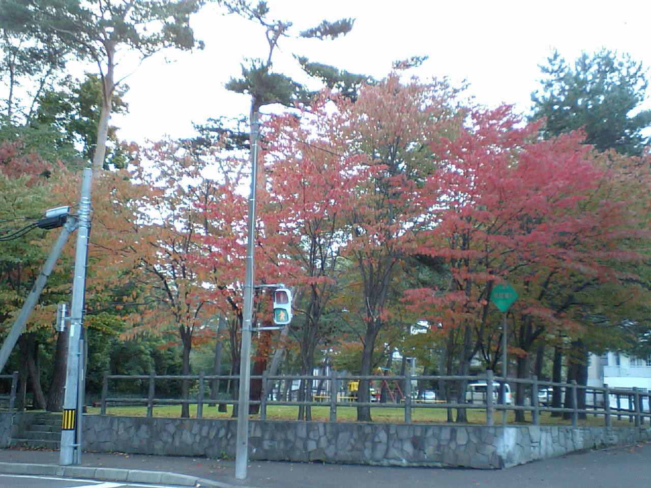 d0098665_17211611.jpg